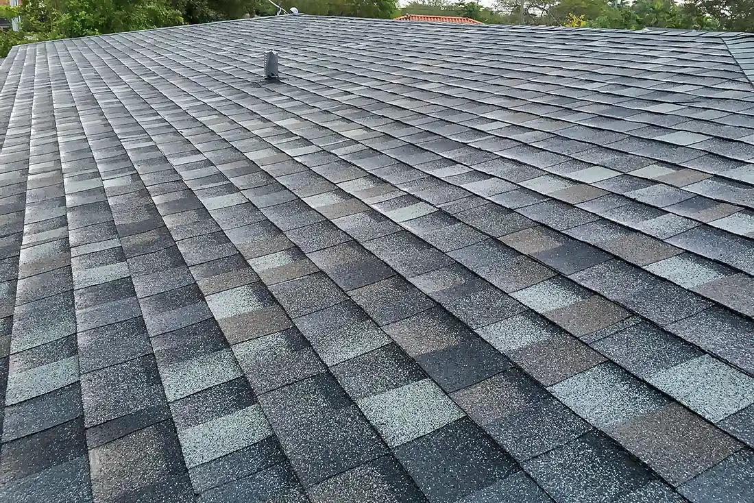 Black Shingles roof